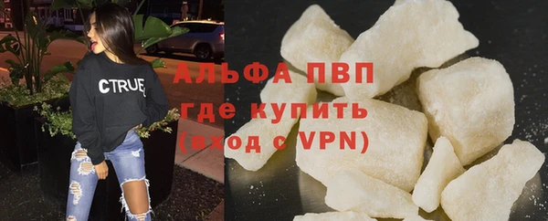 МДПВ Пересвет