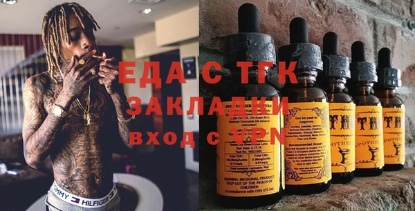 МДПВ Пересвет