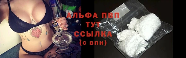 МДПВ Пересвет