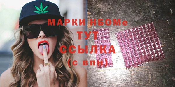 МДПВ Пересвет