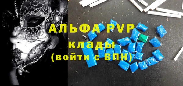 МДПВ Пересвет
