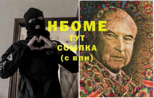 МДПВ Пересвет