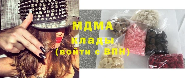МДПВ Пересвет