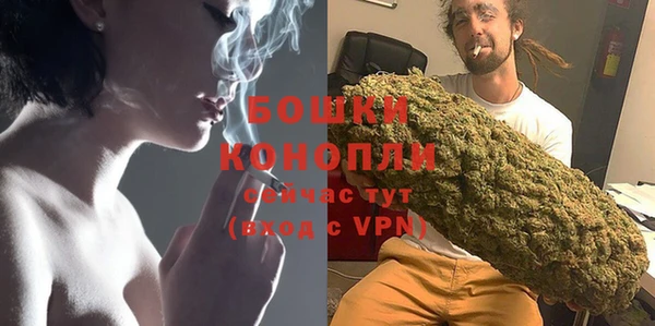МДПВ Пересвет