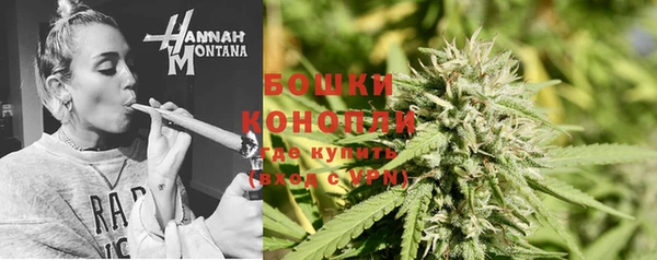МДПВ Пересвет