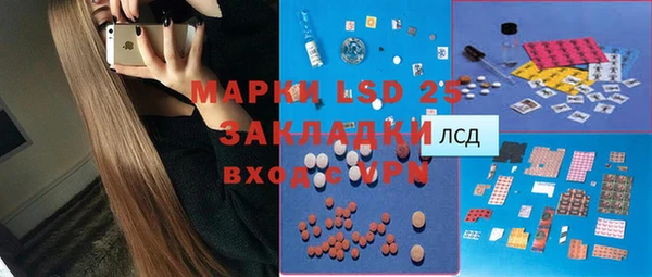 МДПВ Пересвет